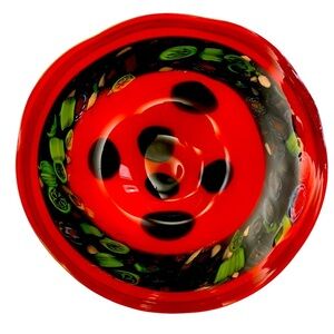 Fused MCM Conch Edge, Hand Blown Art Glass Bowl/Decor
